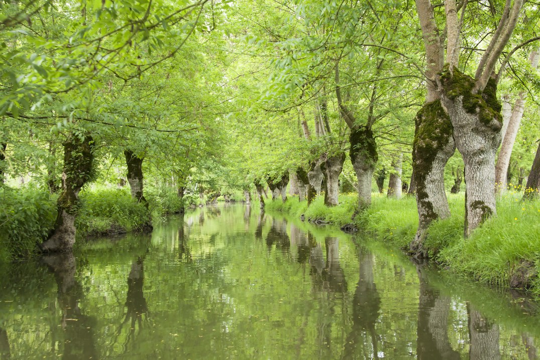 Marais poitevin
