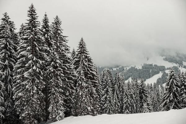Une glisse magique depuis Bordeaux: explorer les stations de ski Pyrénéennes!
