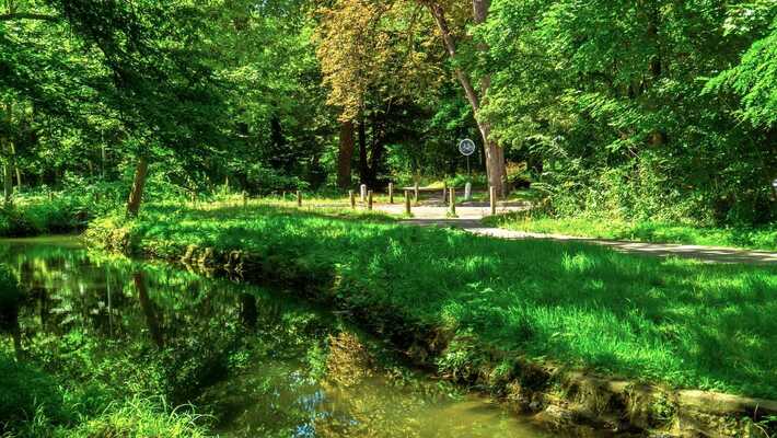 Balades en forêt autour de Paris : nos préférées