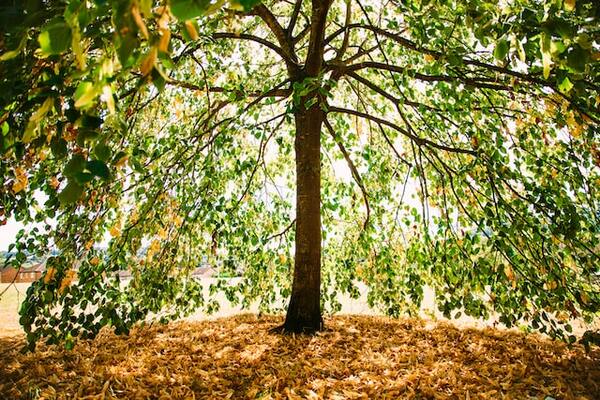 S&rsquo;évader de Paris le temps d&rsquo;un week-end : toutes les idées pour se ressourcer
