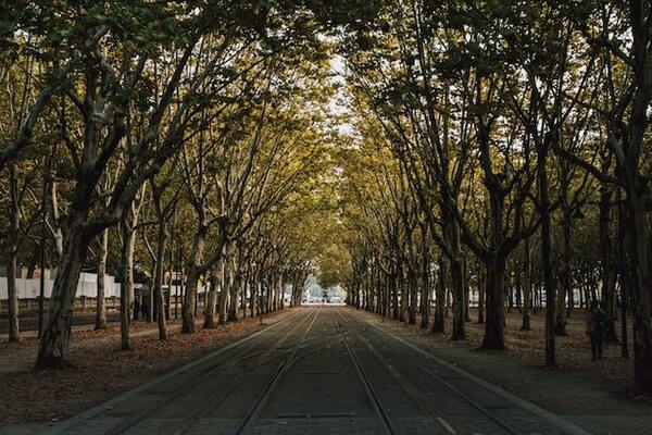 Une Ode à la Beauté: Les Parcs et Jardins Remarquables de Bordeaux