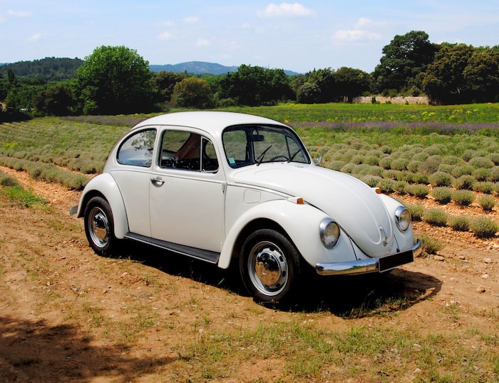 VW Beetle de 3/4 face dans un champ