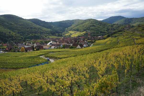 Roadtrip en Alsace : nos conseils