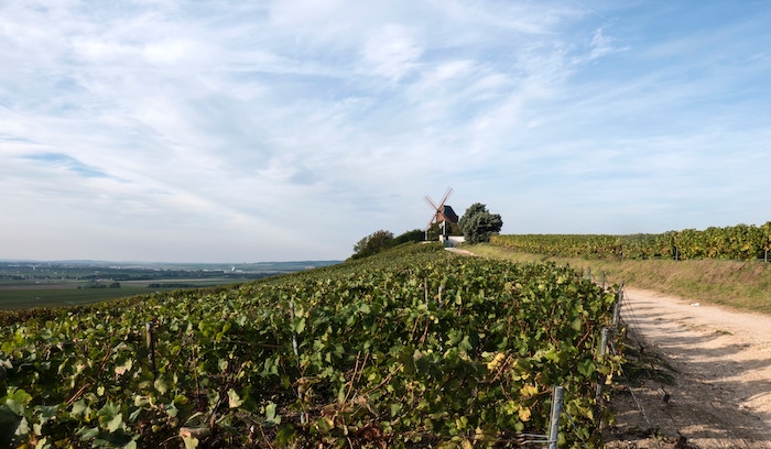 Moulin au milieu des champs en Champagne