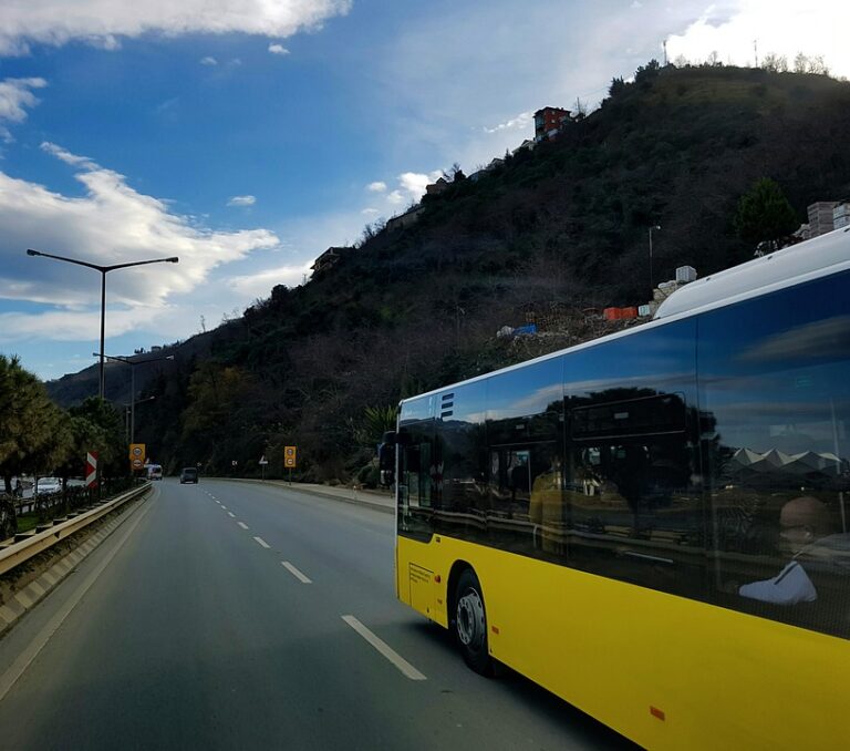 Minibus luxe: confort et élégance pour vos déplacements !