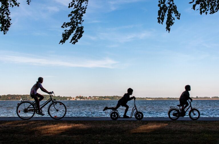Vélo chopper : style rétro et personnalisation unique !