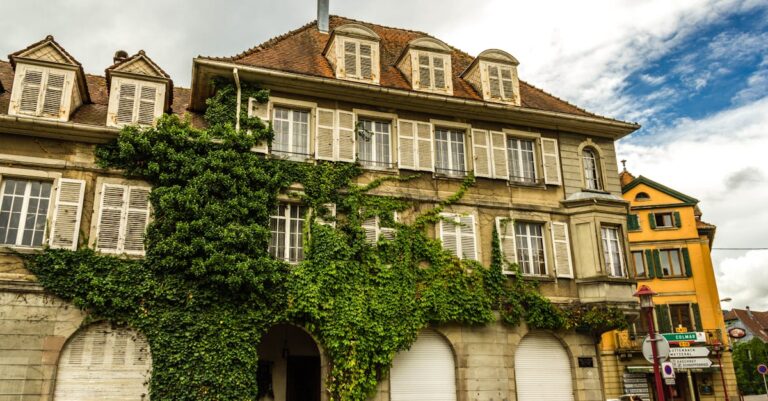 Anciennes Voitures de France : Histoire, Modèles Mythiques et Patrimoine Automobile