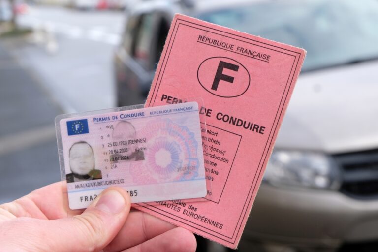 main tenant un permis de conduire français