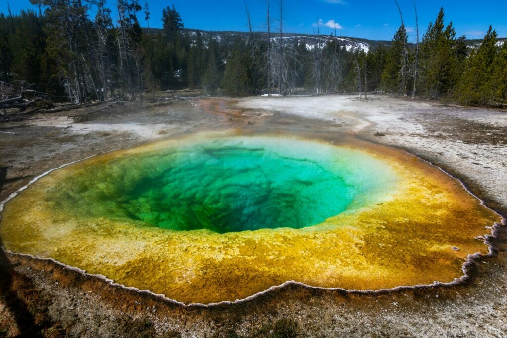 Yellowstone : le parc national des USA à ne pas manquer !