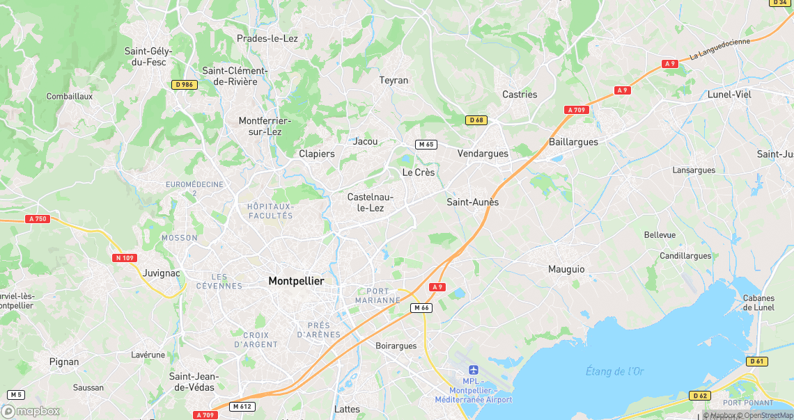 Localisation de la voiture à Castelnau-le-Lez