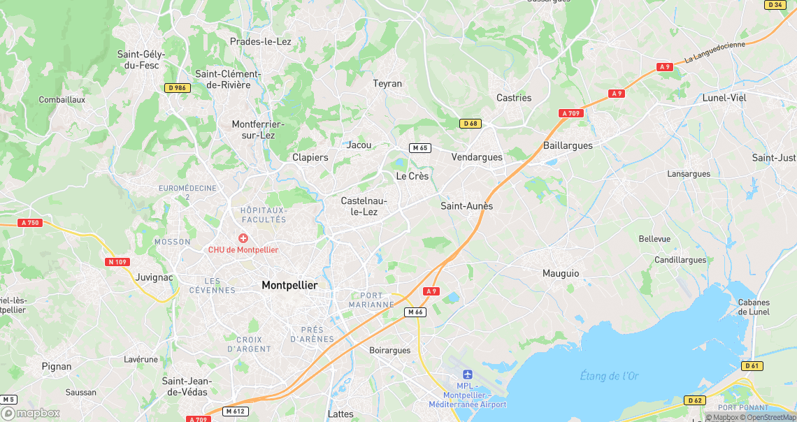 Localisation de la voiture à Castelnau-le-Lez