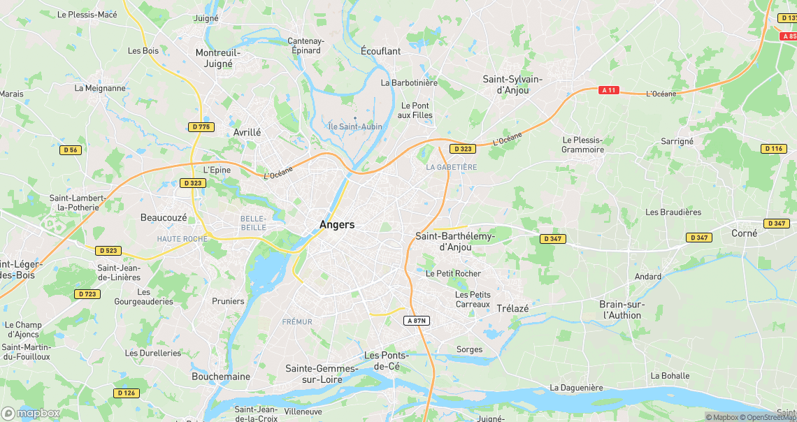 Localisation de la voiture à Angers